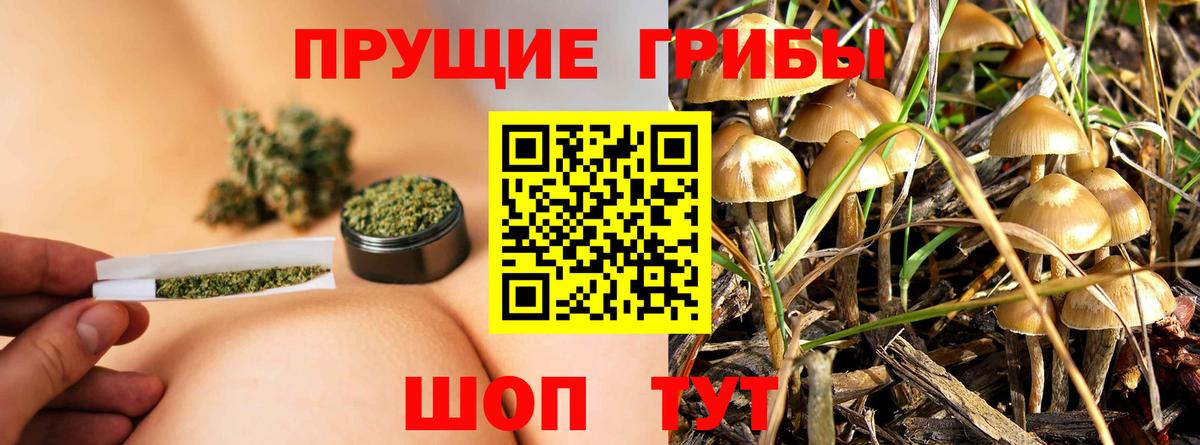 Псилоцибиновые грибы мухоморы  Вход с VPN  Лянтор 